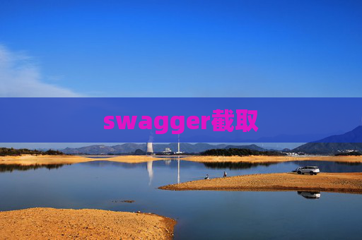 swagger截取